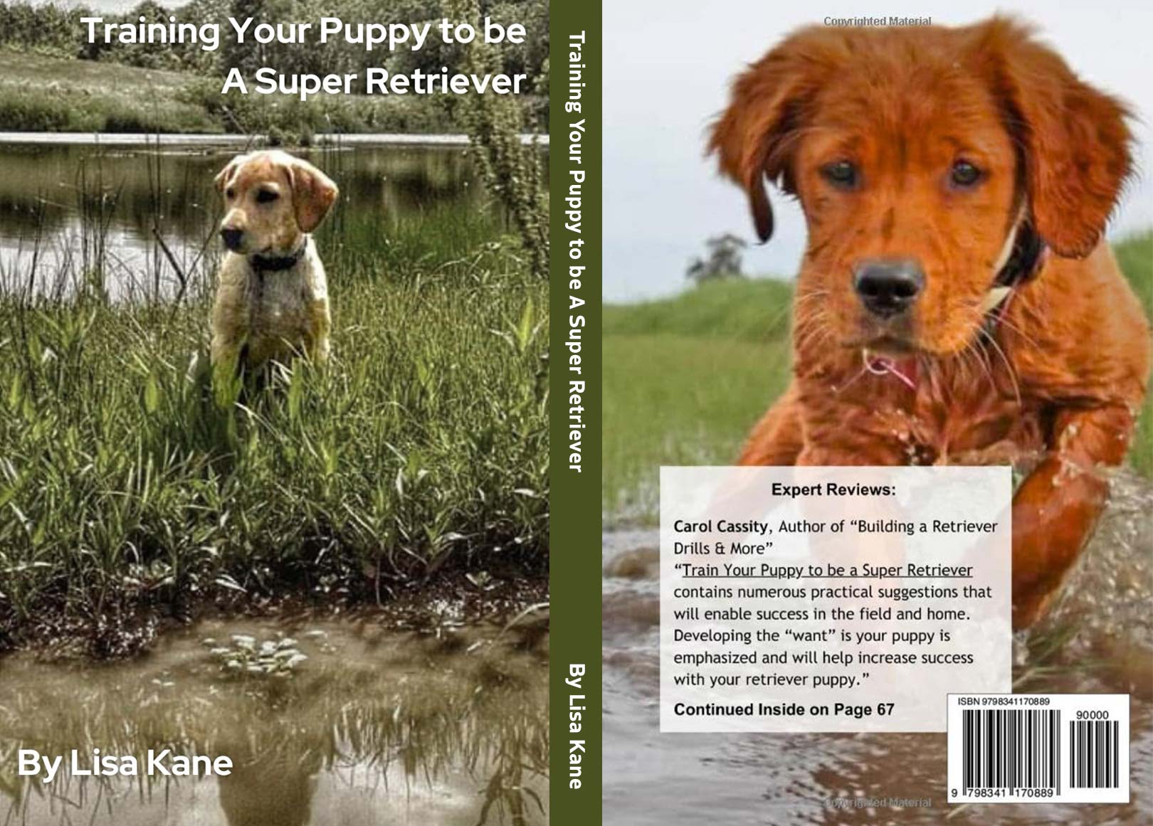 Training Your Puppy to be A Super Retriever by Lisa Kane